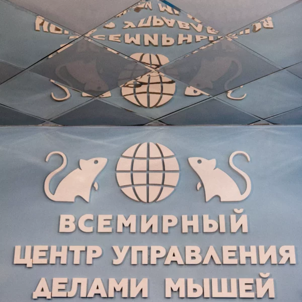 Мышкин