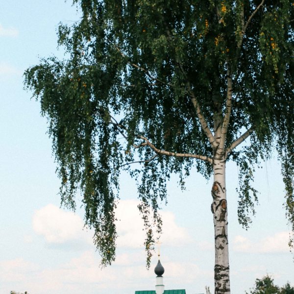 Муром