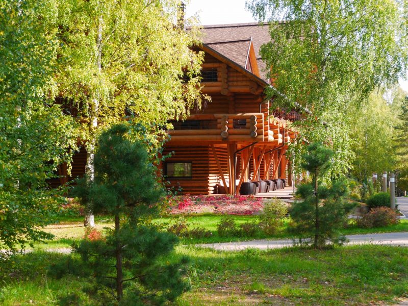 Романов лес